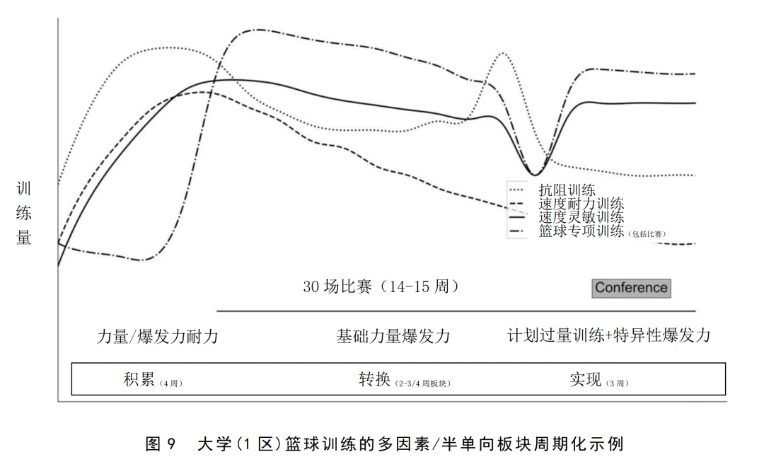 绳梯训练篮球_2